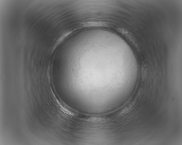 X0000051261033200507082211