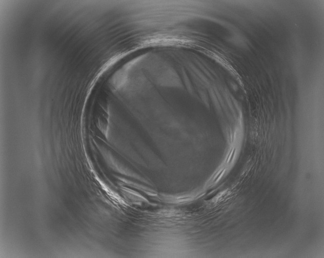 X0000051261037200507082212