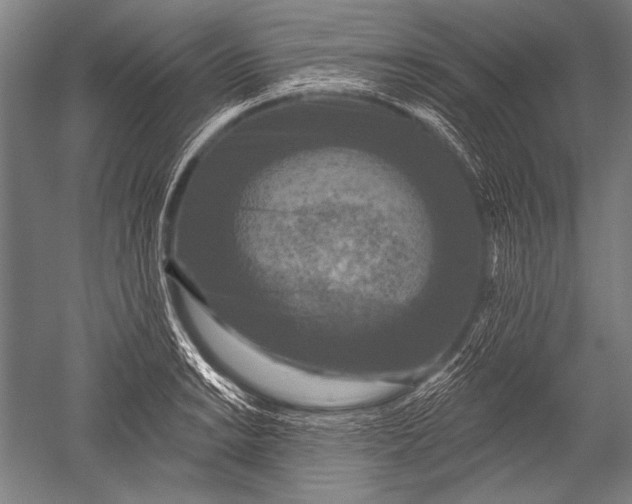 X0000051261038200507082212