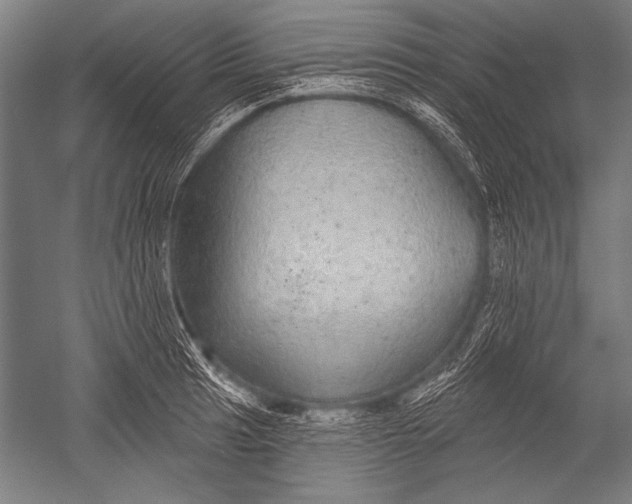 X0000051261041200507082212