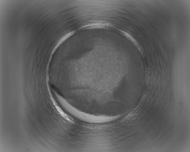 X0000051261042200507082212