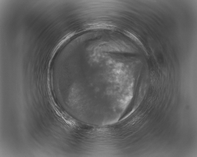 X0000051261043200507082212