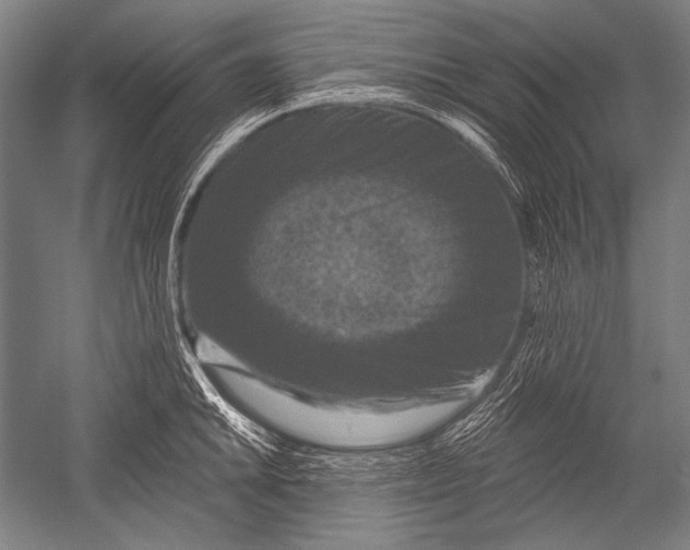 X0000051261046200507082212