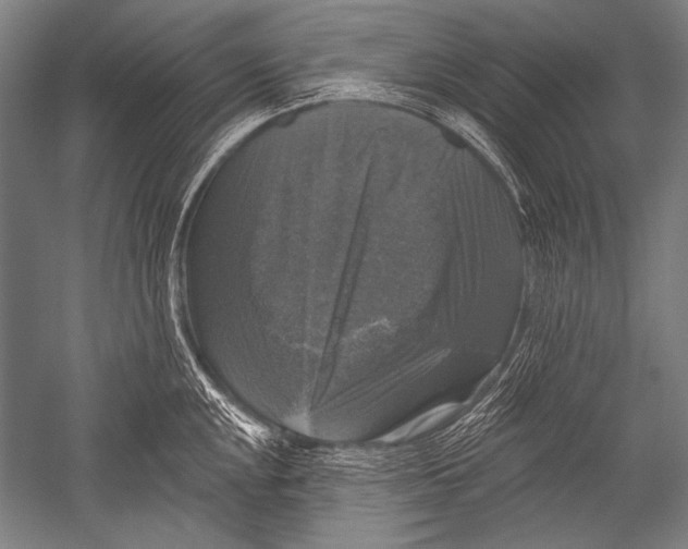 X0000051261048200507082212
