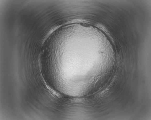 X0000051261049200507082212