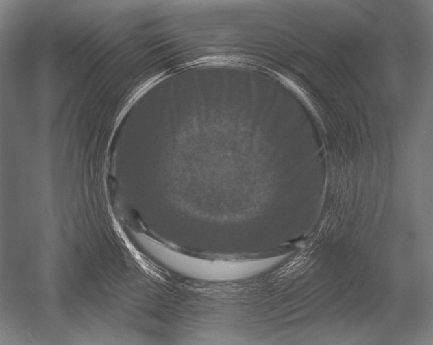 X0000051261050200507082212