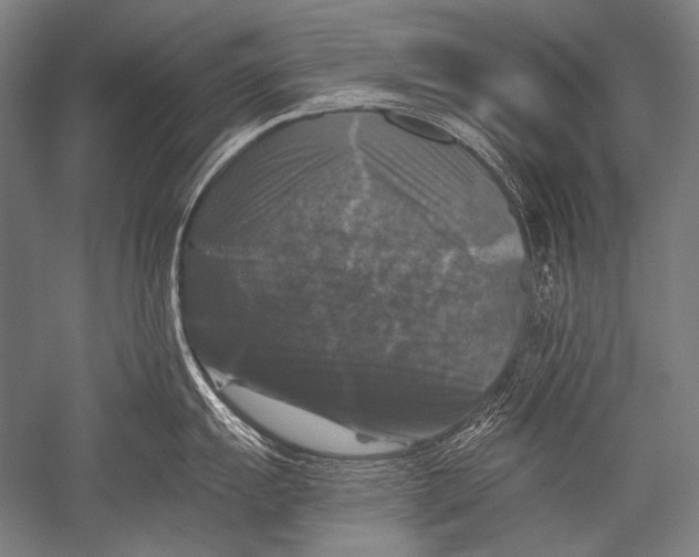 X0000051261055200507082212