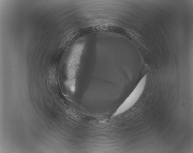 X0000051261060200507082211