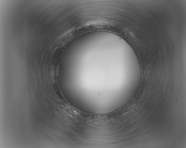X0000051261062200507082211
