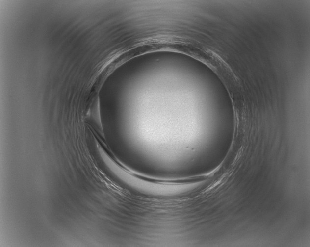 X0000051261065200507082211