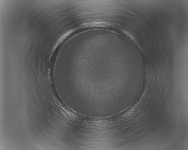 X0000051261066200507082211