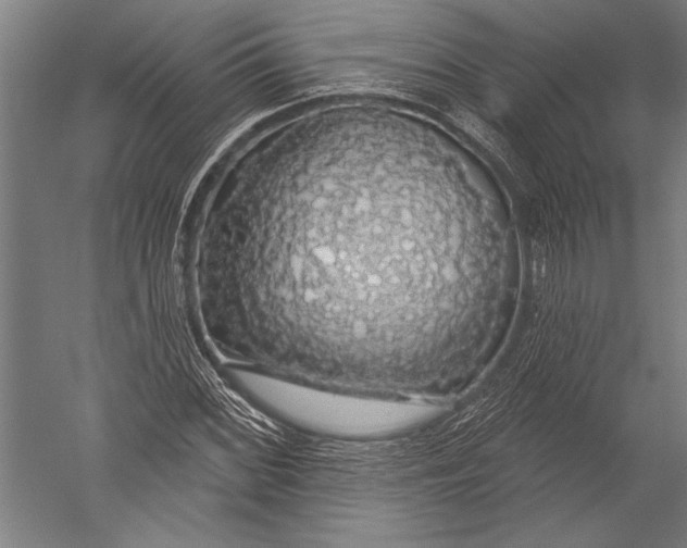 X0000051261068200507082211