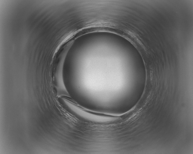 X0000051261069200507082211
