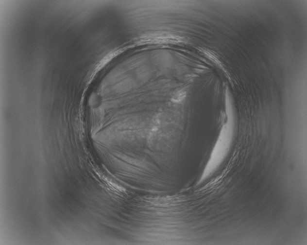 X0000051261071200507082211