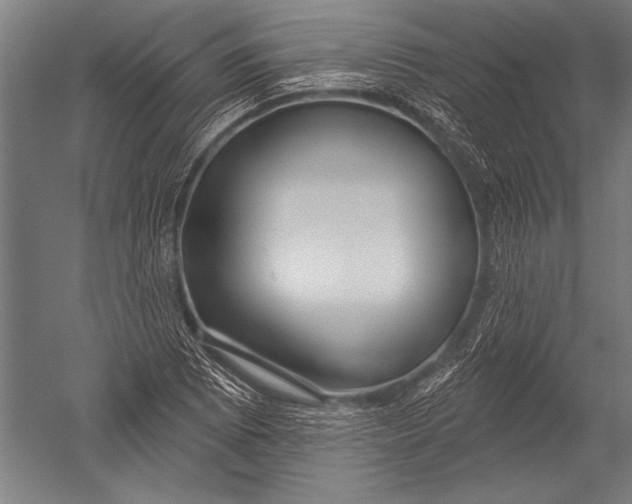 X0000051261073200507082211