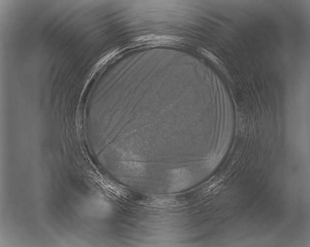X0000051261074200507082211