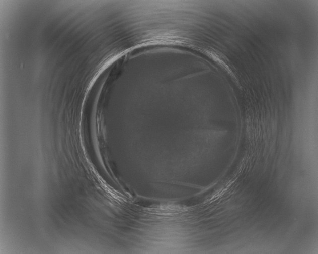 X0000051261077200507082211