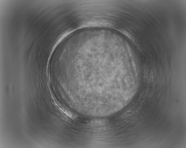X0000051261078200507082211