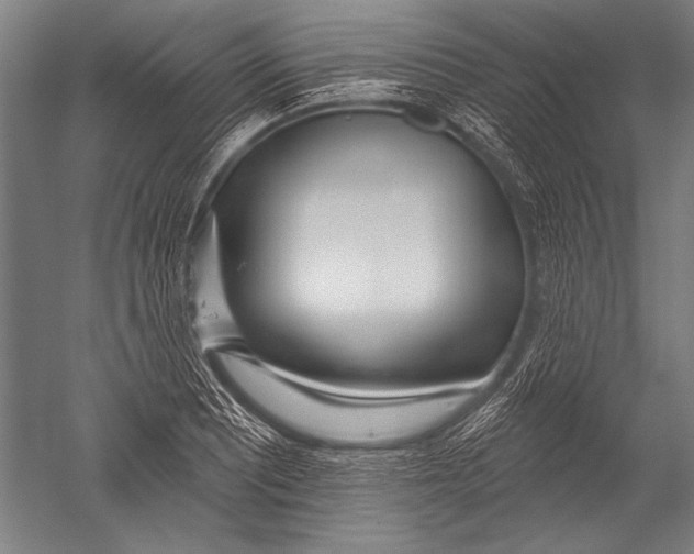 X0000051261081200507082211