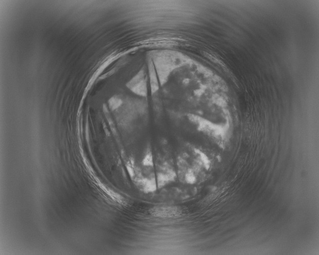 X0000051261083200507082211
