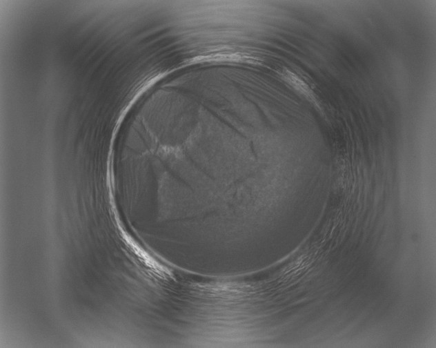 X0000051261084200507082211