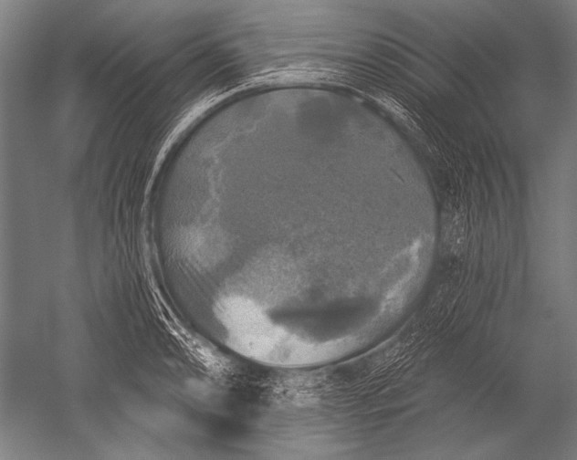 X0000051261086200507082211