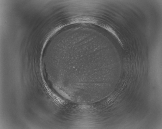X0000051261088200507082211
