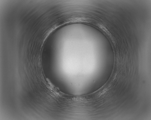 X0000051261089200507082211