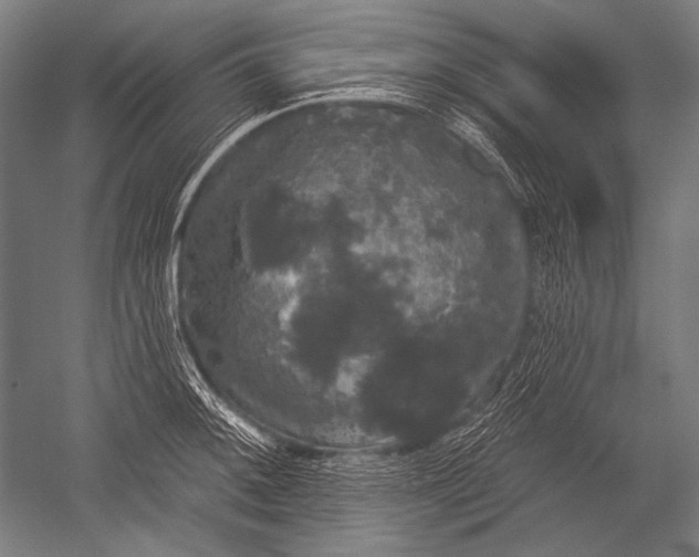 X0000051261092200507082210