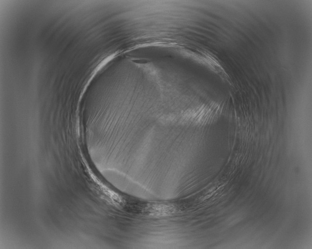 X0000051261095200507082210