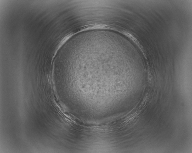 X0000051261097200507082210