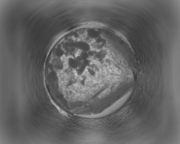 X0000051261103200507082210