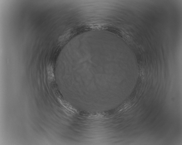 X0000051261106200507082209