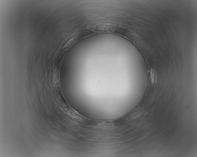 X0000051261107200507082209