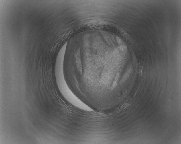 X0000051261108200507082209