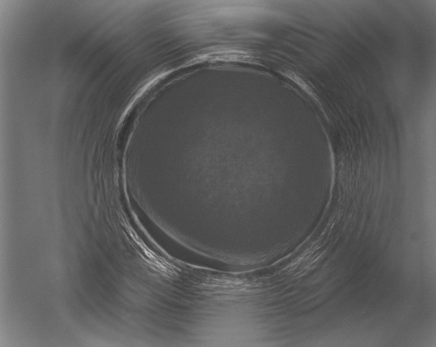 X0000051261115200507082210