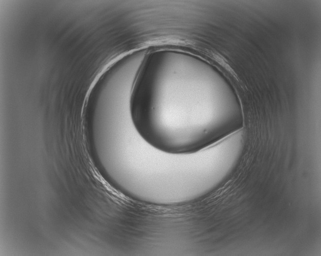 X0000051261116200507082210