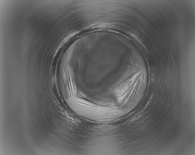 X0000051261117200507082210