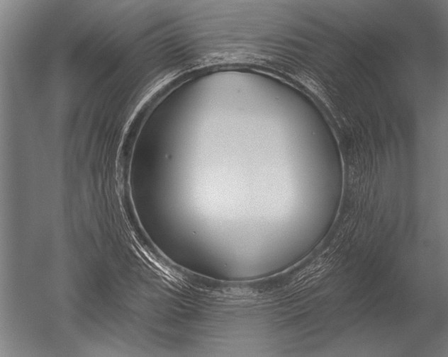 X0000051261119200507082210