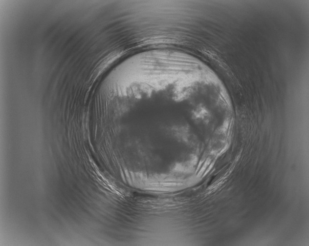 X0000051261121200507082210
