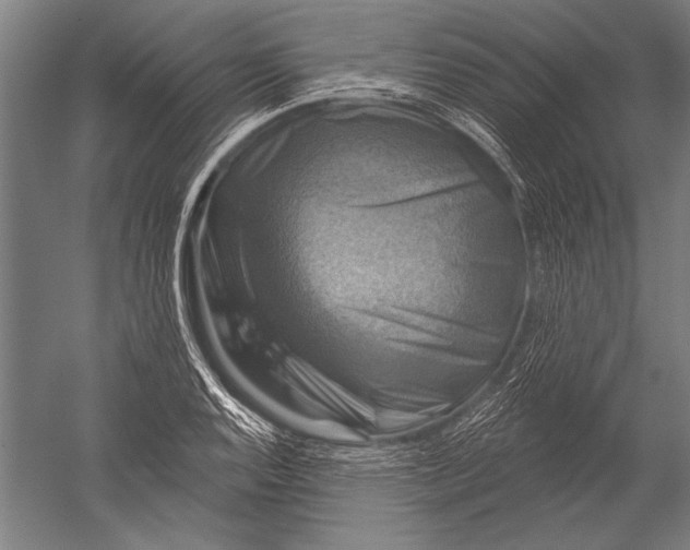 X0000051261128200507082210