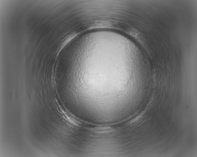 X0000051261129200507082210