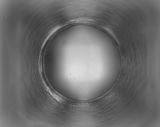 X0000051261131200507082210