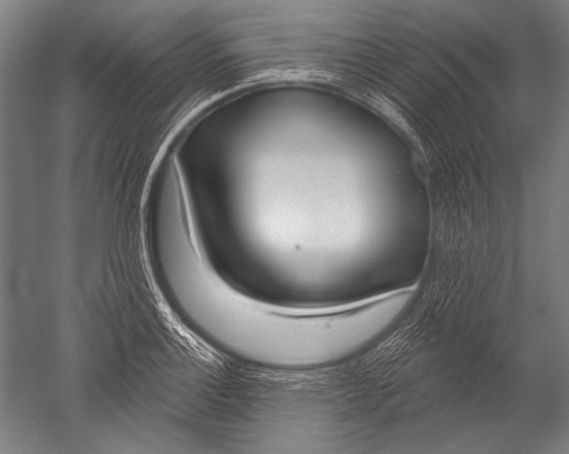 X0000051261132200507082210