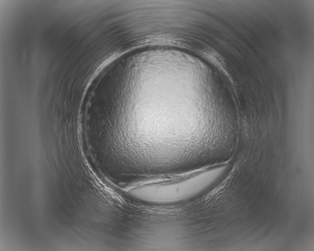 X0000051261133200507082210