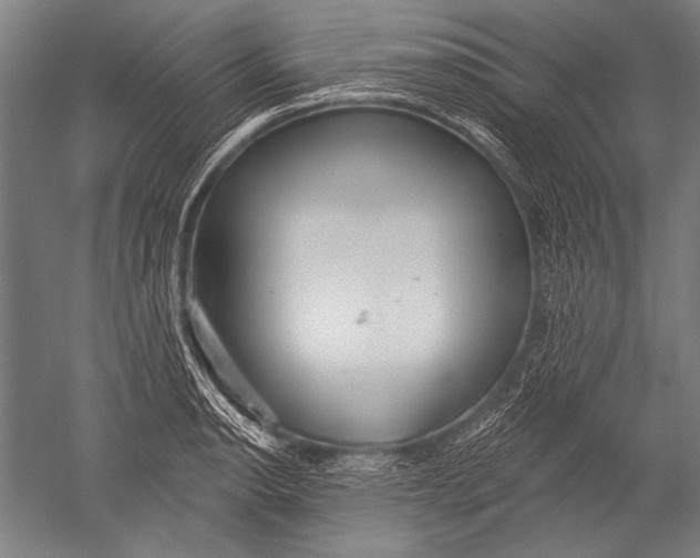 X0000051261134200507082210