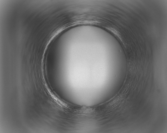 X0000051261135200507082210