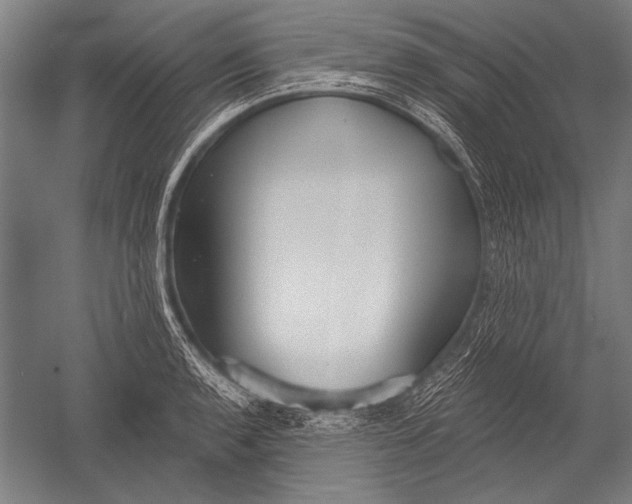 X0000051261136200507082210