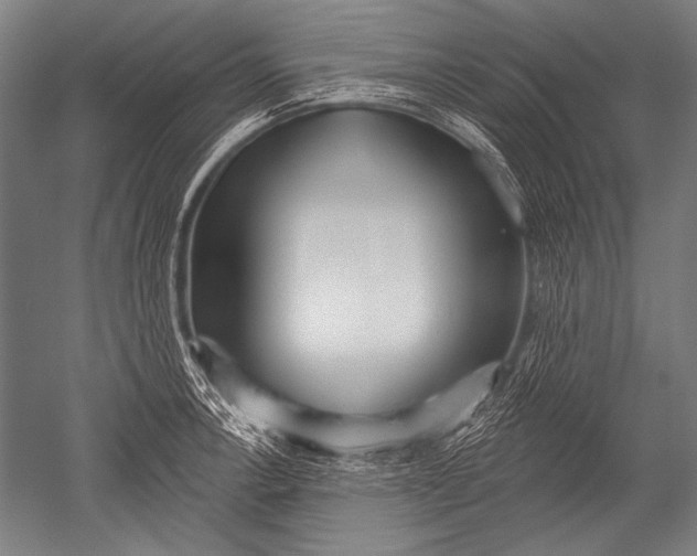 X0000051261138200507082210