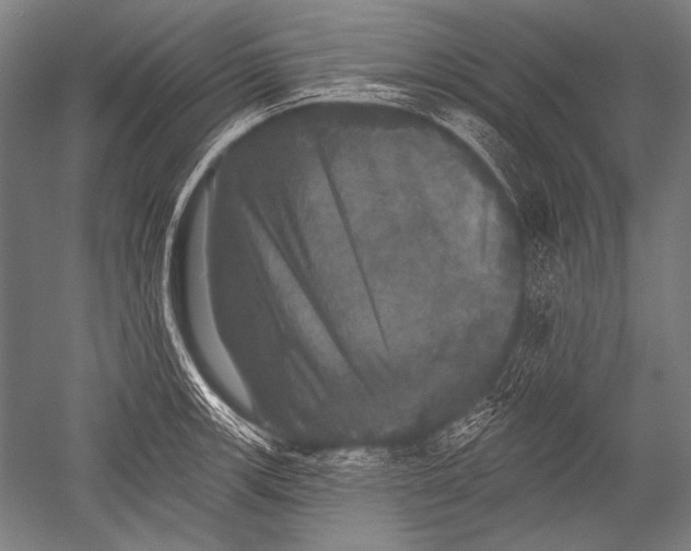 X0000051261139200507082210